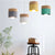 Multi-colored Hanging Lights